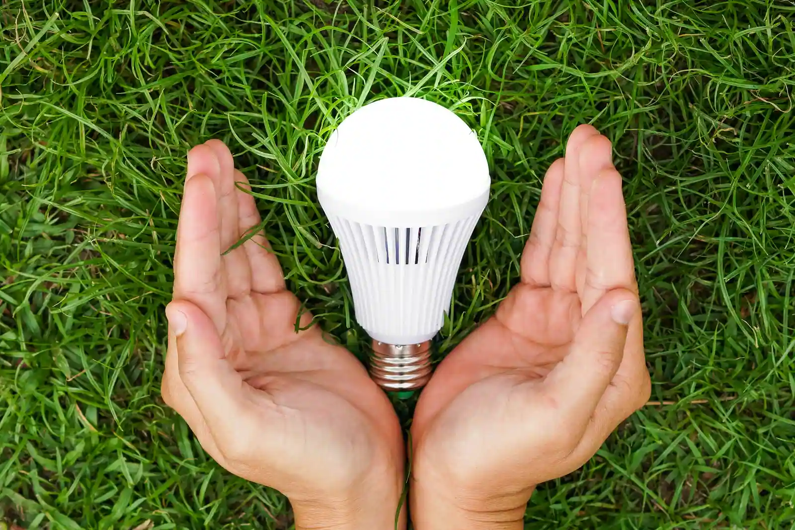 Top Benefits of Energy-Efficient Lighting